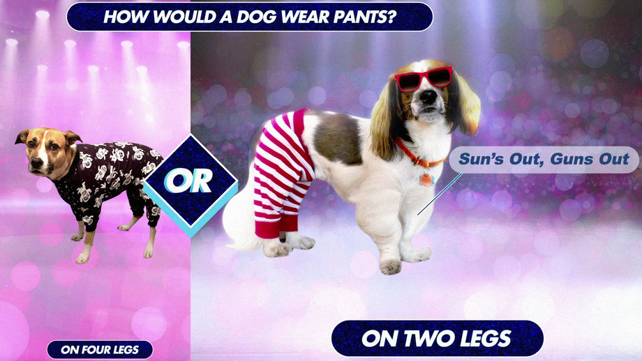 Lighten Up: 2 Legs-Vs-4 Legs